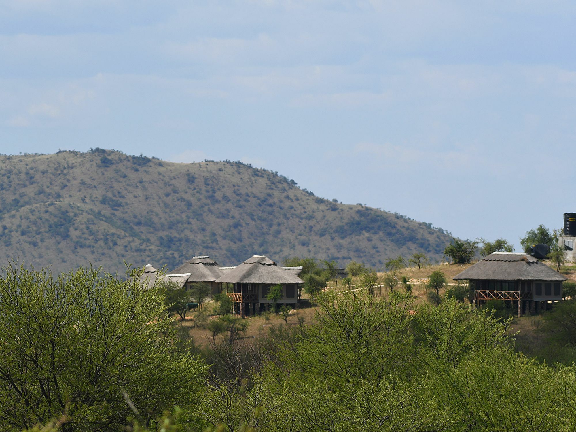 Serengeti Safari Lodge Buitenkant foto