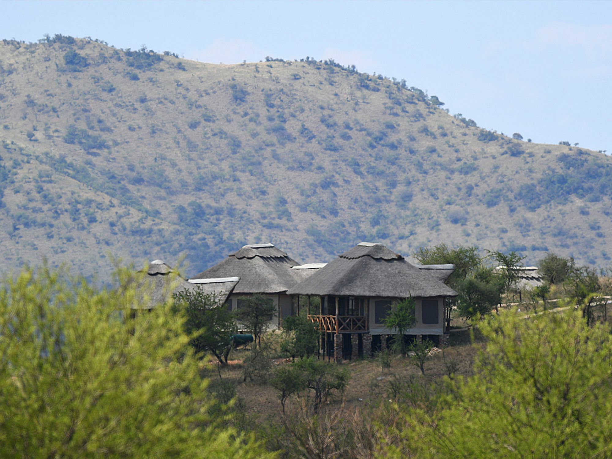 Serengeti Safari Lodge Buitenkant foto