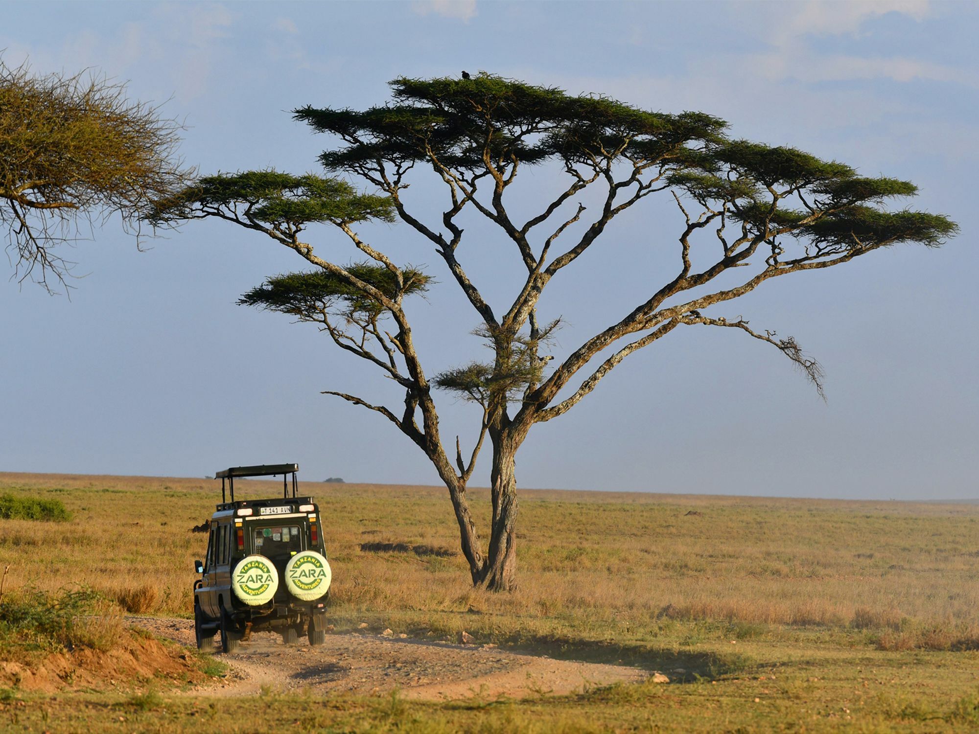 Serengeti Safari Lodge Buitenkant foto